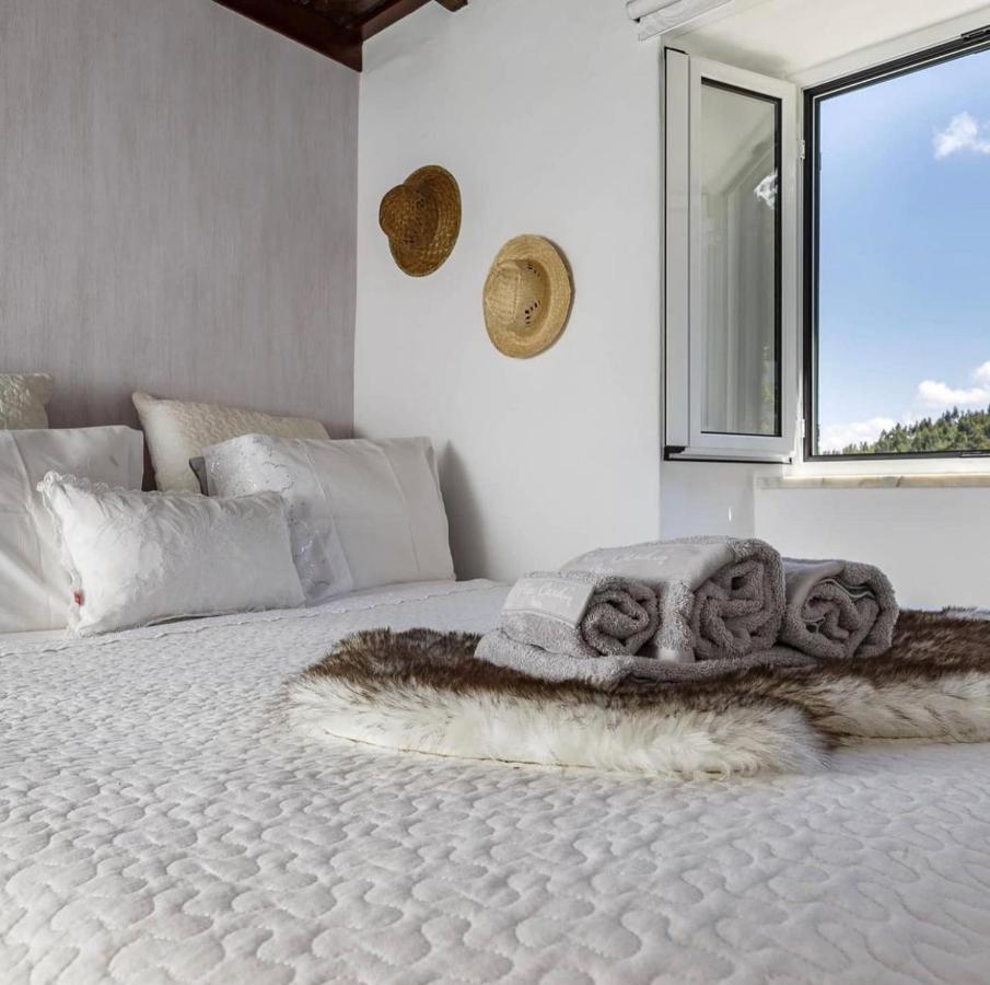 Casa Do Bispo Pereiro,Arganil Βίλα Κοΐμπρα Εξωτερικό φωτογραφία